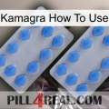 Kamagra How To Use 20